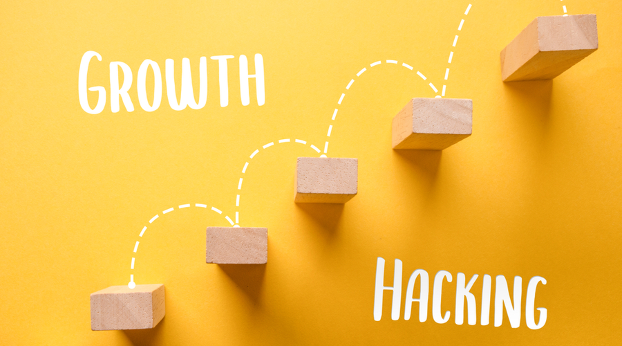 fases del hacking etico