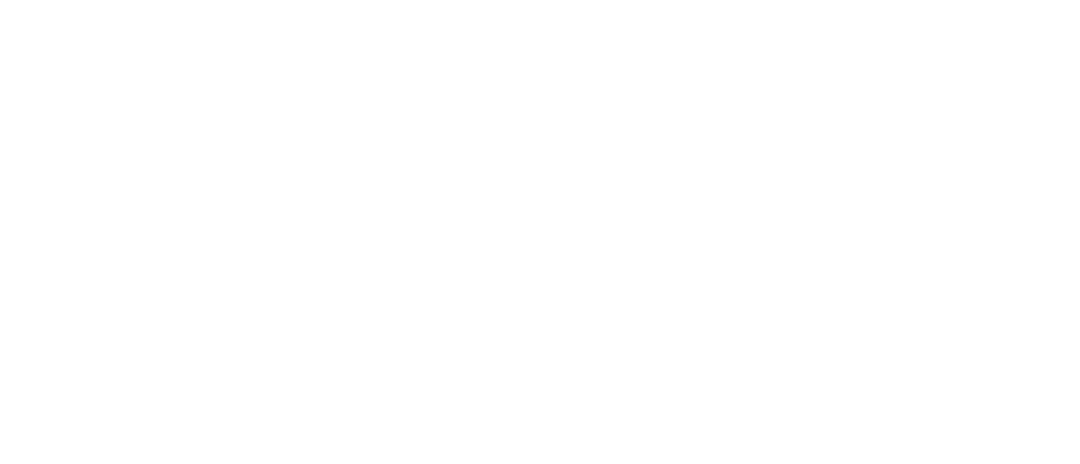 Logo-servnet-bco@2x